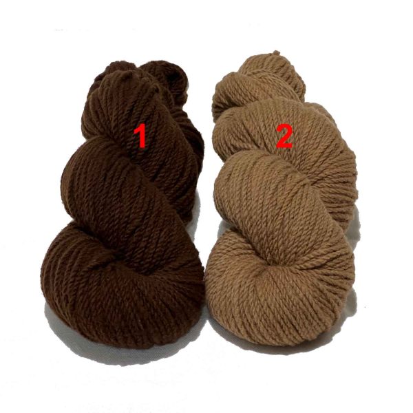 Chunky Lite mule spun yarn hand dyed with Walnuts.